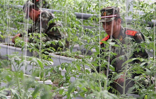 ���Z׃�F(xi��n)������ԭ�ٱ���������